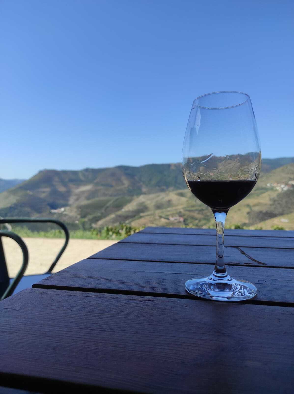 Douro Valley Port wine tastings