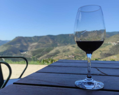Douro Valley Port wine tastings
