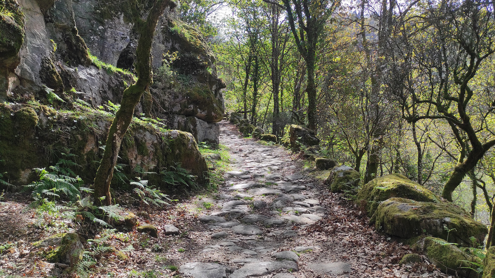 Gerês National Park - full day private tour - Roman Path
