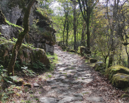 Gerês National Park - full day private tour - Roman Path